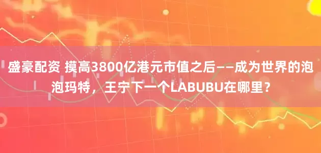 盛豪配资 摸高3800亿港元市值之后——成为世界的泡泡玛特，王宁下一个LABUBU在哪里？