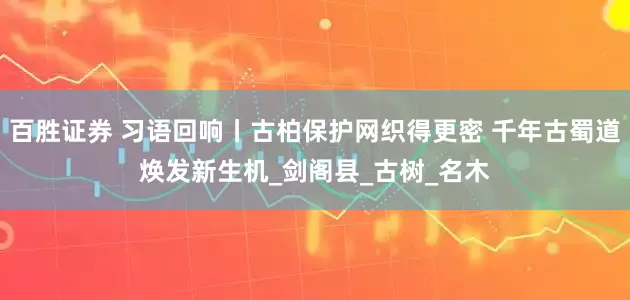 百胜证券 习语回响丨古柏保护网织得更密 千年古蜀道焕发新生机_剑阁县_古树_名木