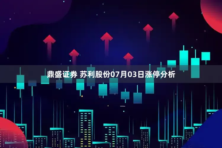 鼎盛证券 苏利股份07月03日涨停分析