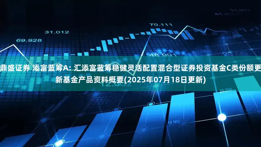 鼎盛证券 添富蓝筹A: 汇添富蓝筹稳健灵活配置混合型证券投资基金C类份额更新基金产品资料概要(2025年07月18日更新)