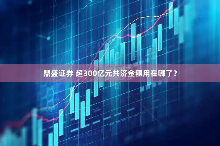 鼎盛证券 超300亿元共济金额用在哪了？